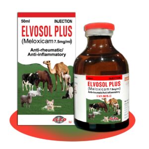 Elvosol Plus Injection